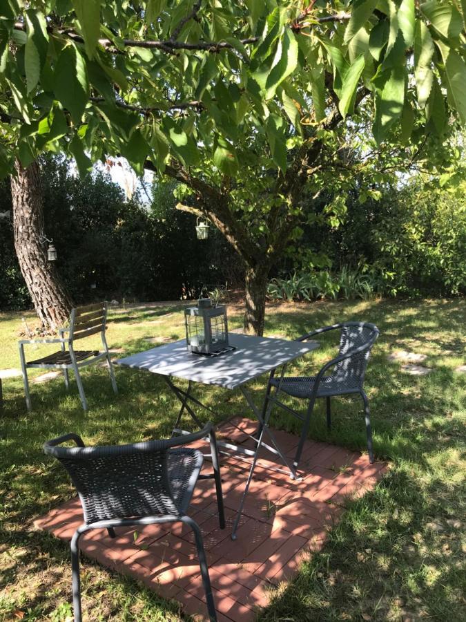 Bed and Breakfast Le Jardin de la cité Carcassonne Esterno foto